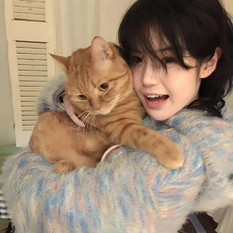 夜凛神探第一季